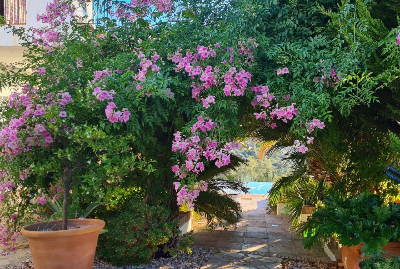 Bed and Breakfast Cortijo La Haza Iznájar Exterior foto